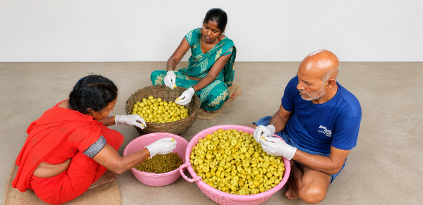 Chiraigaon Factory 7